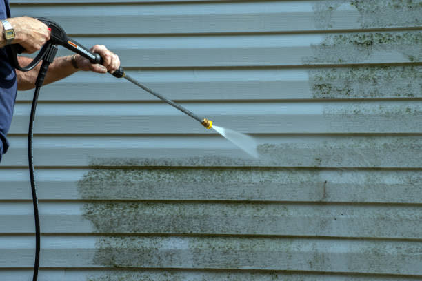 Local Pressure Washing Services in Plainview, NE